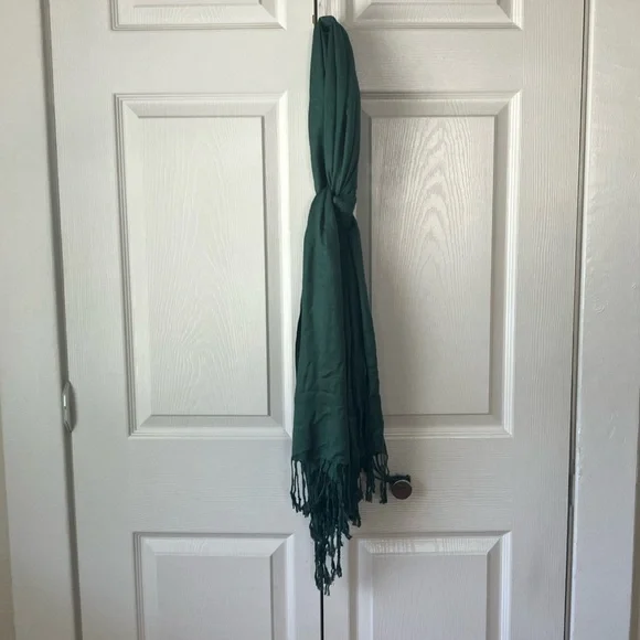 Dark Green 100% Cashmere Pashmina Scarf w/Fringe NEW - Picture 11 of 12